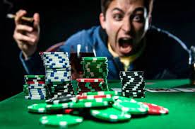 Как войти на сайт AVOCADO CASINO